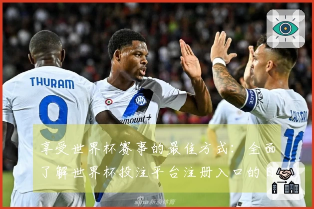 享受世界杯赛事的最佳方式：全面了解世界杯投注平台注册入口的日常使用场景