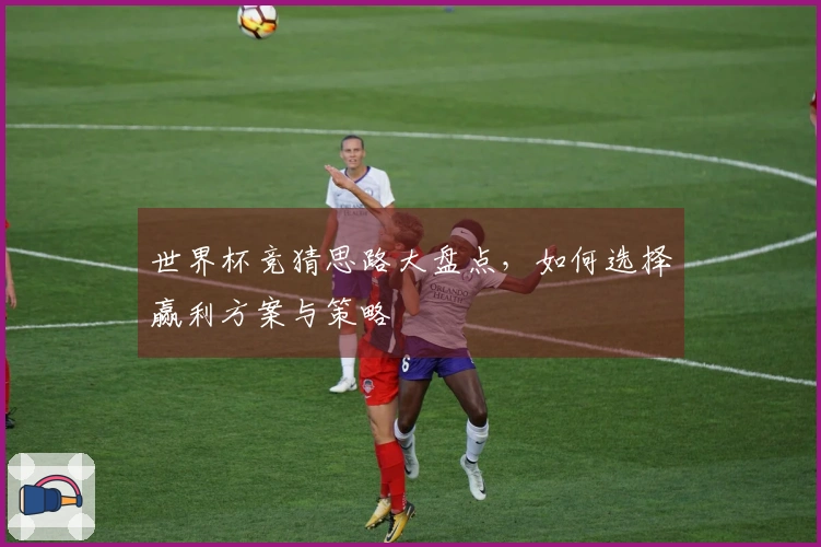 世界杯竞猜思路大盘点，如何选择赢利方案与策略