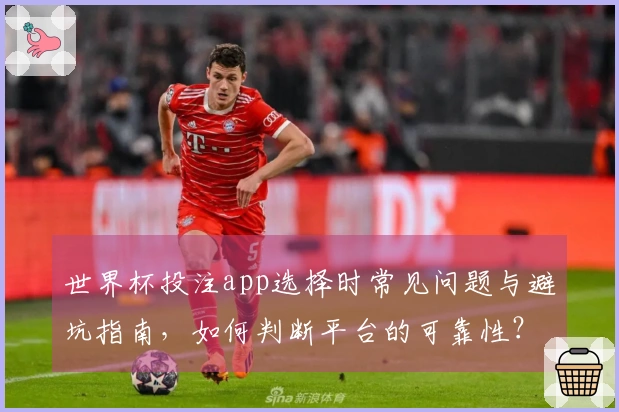 世界杯投注app选择时常见问题与避坑指南，如何判断平台的可靠性？