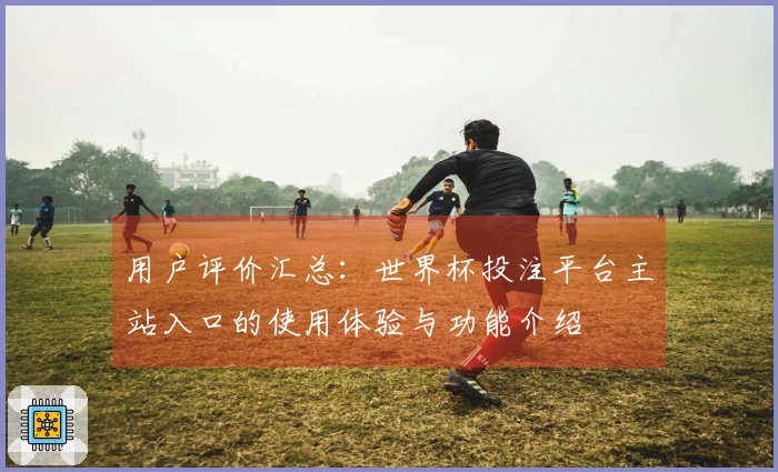 用户评价汇总：世界杯投注平台主站入口的使用体验与功能介绍