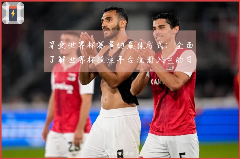 享受世界杯赛事的最佳方式：全面了解世界杯投注平台注册入口的日常使用场景
