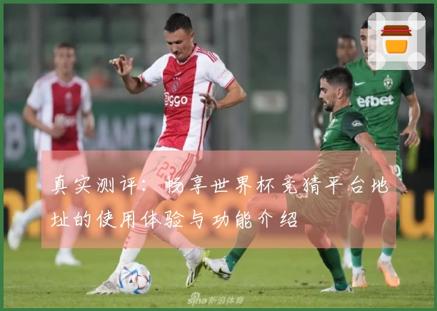 真实测评：畅享世界杯竞猜平台地址的使用体验与功能介绍