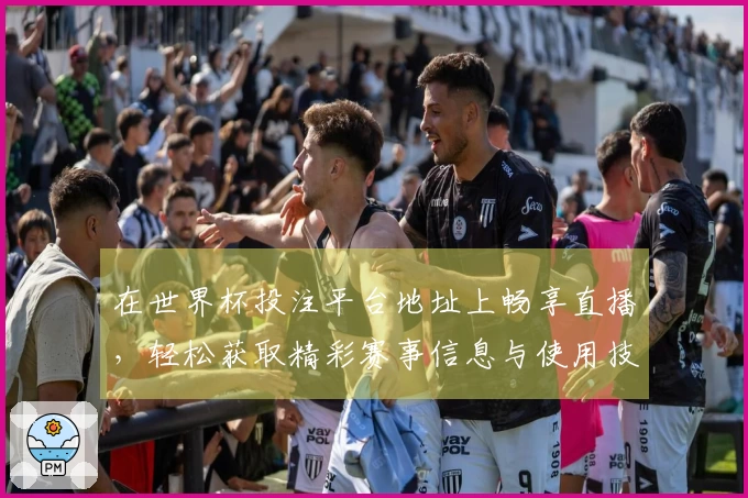 在世界杯投注平台地址上畅享直播，轻松获取精彩赛事信息与使用技巧