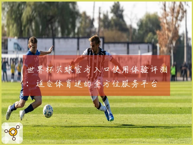 世界杯买球官方入口使用体验评测：适合体育迷的全方位服务平台