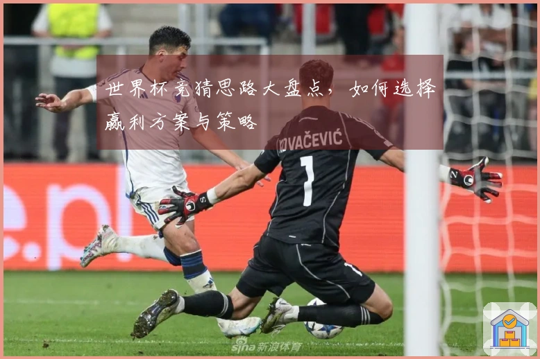 世界杯竞猜思路大盘点，如何选择赢利方案与策略