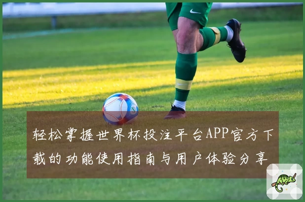 轻松掌握世界杯投注平台APP官方下载的功能使用指南与用户体验分享